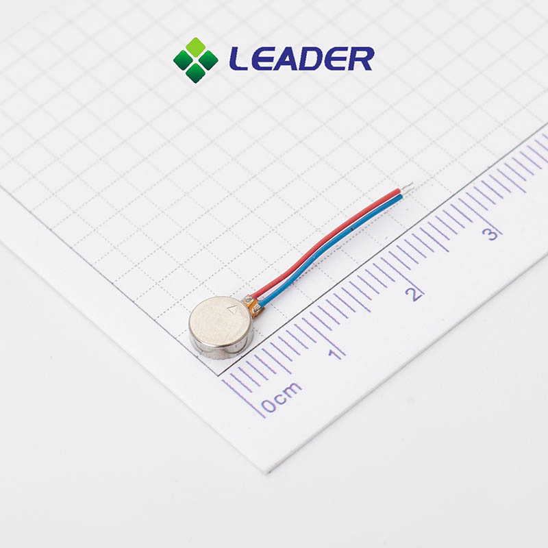 https://www.leader-w.com/dia-6mm2-0mm-mini-bldc-motor-3v-dc-motor.html