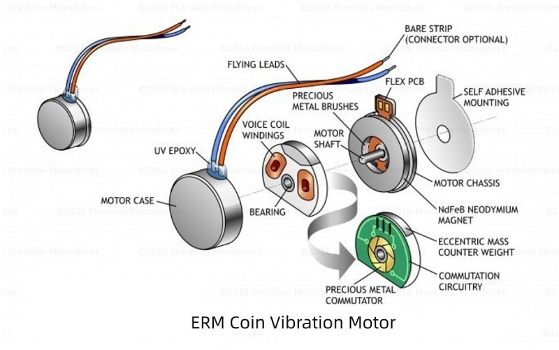 coin motor 结构图